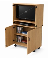 Armadio per audiovisivi TV + DVD