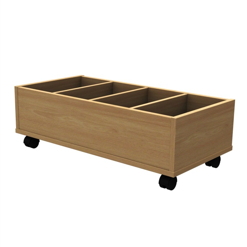 Multifunctional organiser trolley